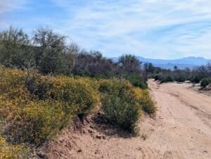 Mile Markers: A Genesis Bible Study Guide 4 Genesis 4: East of Eden