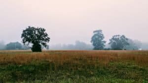 Reflections In Righteousness 11 Breaking the Cycle of Self-Hatred