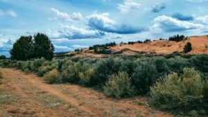 Reflections In Righteousness 12 How Not To Confuse Christian Nationalism with Christian Conviction