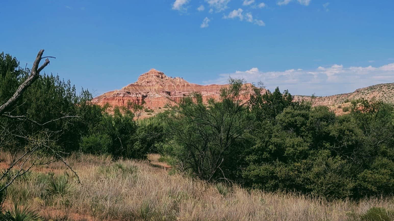 Genesis 10–11: Towers and Tongues