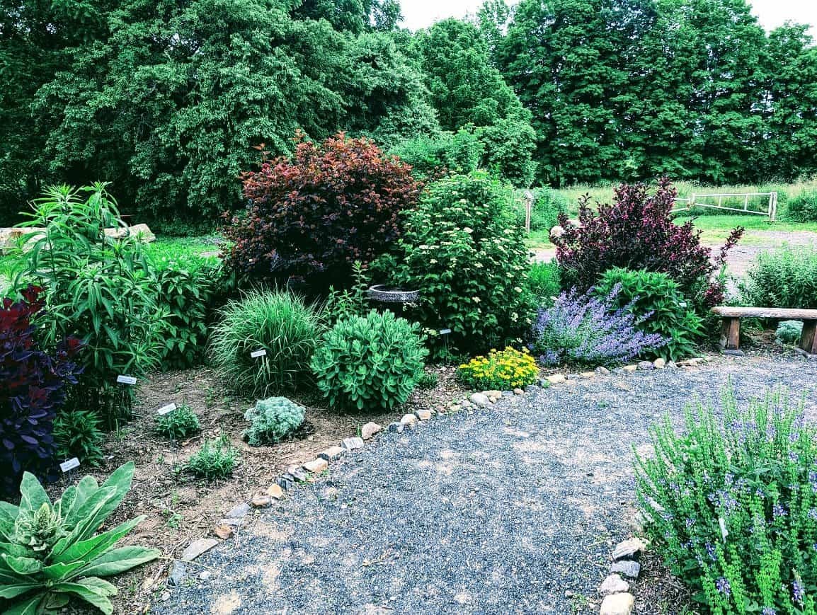 The Road Begins In A Garden