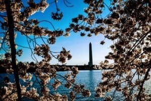 Reflections In Righteousness 9 What Do Christian Nationalists Mean by “Biblical Worldview”? It’s Not What You Think...