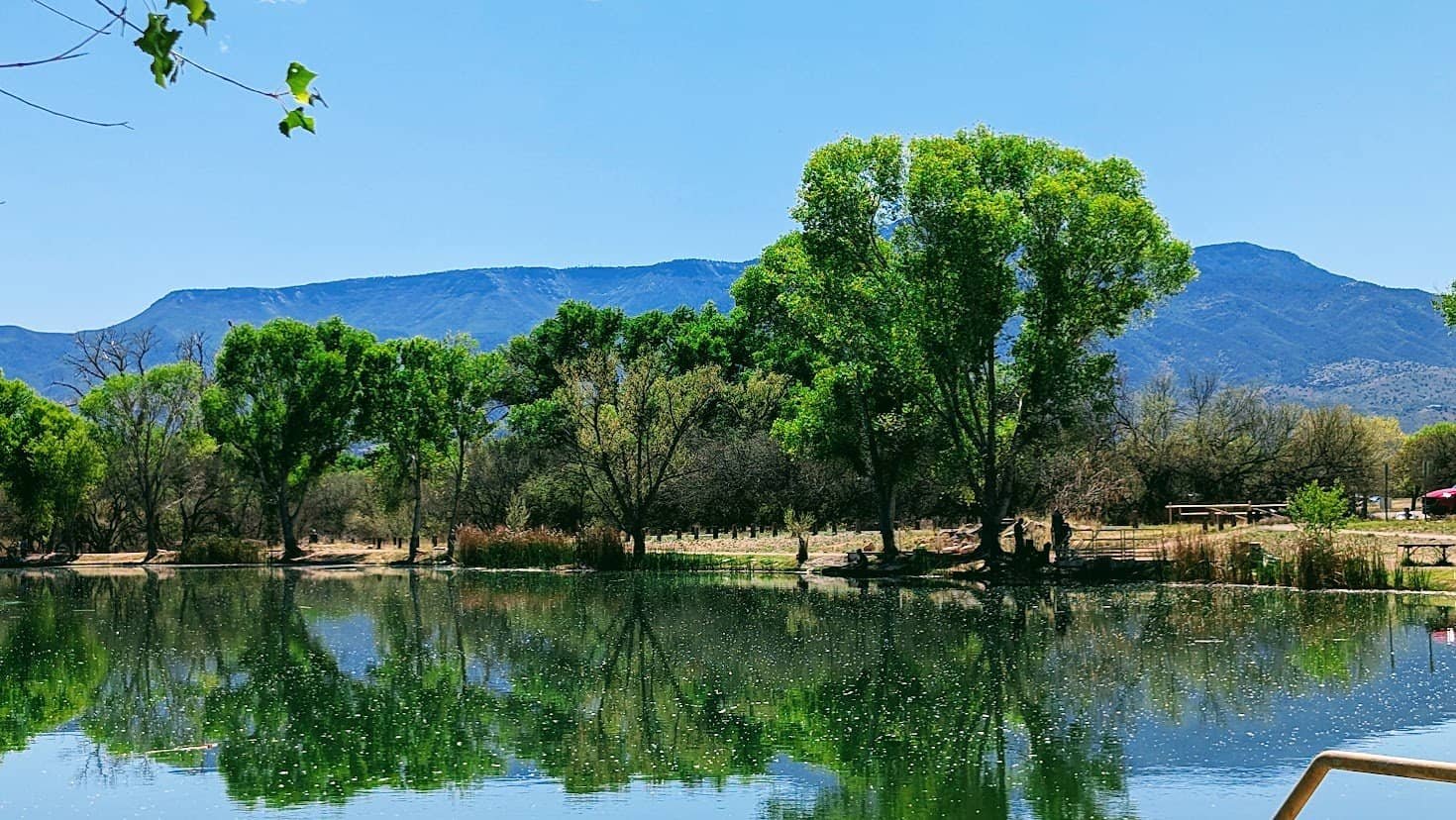 The Call and the Cost