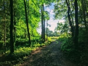 Exposing Spiritual Abuse: Identifying Oppressive Religion