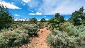 Reflections In Righteousness 3 Emotional Numbness and Faith: How to Stay Soft in a World of Constant Tragedy