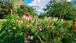 Mile Markers: A Genesis Bible Study Guide 10 Genesis 20–21-Laughter and the Long Delay