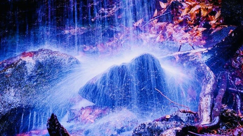 When Words Become Whips: Confronting Curated Sin Lists with Christ’s Priorities