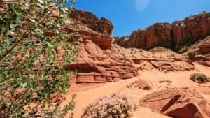 Genesis 23–25: Legacy in the Land: When Faith Becomes Inheritance