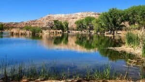 Overcoming Rest Guilt: How Psalm 23:2 Helps You Breathe Again