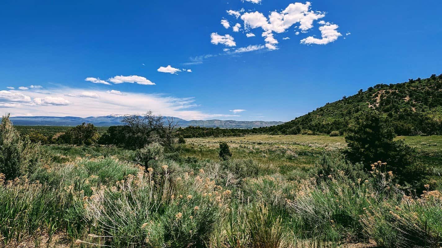 The Whys of Faith: Understanding the Adult Faith Journey (Photo: Somewhere in Southwestern Colorado near Mesa Verde)