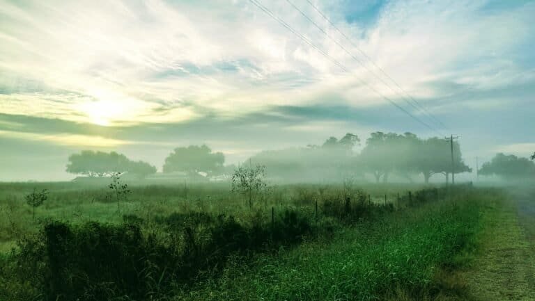 Loving Jesus or Loving the Idea of Jesus