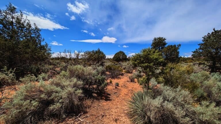 Rebranding Jesus: Not a Mascot For a Movement