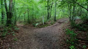 When Christians Disagree on Values