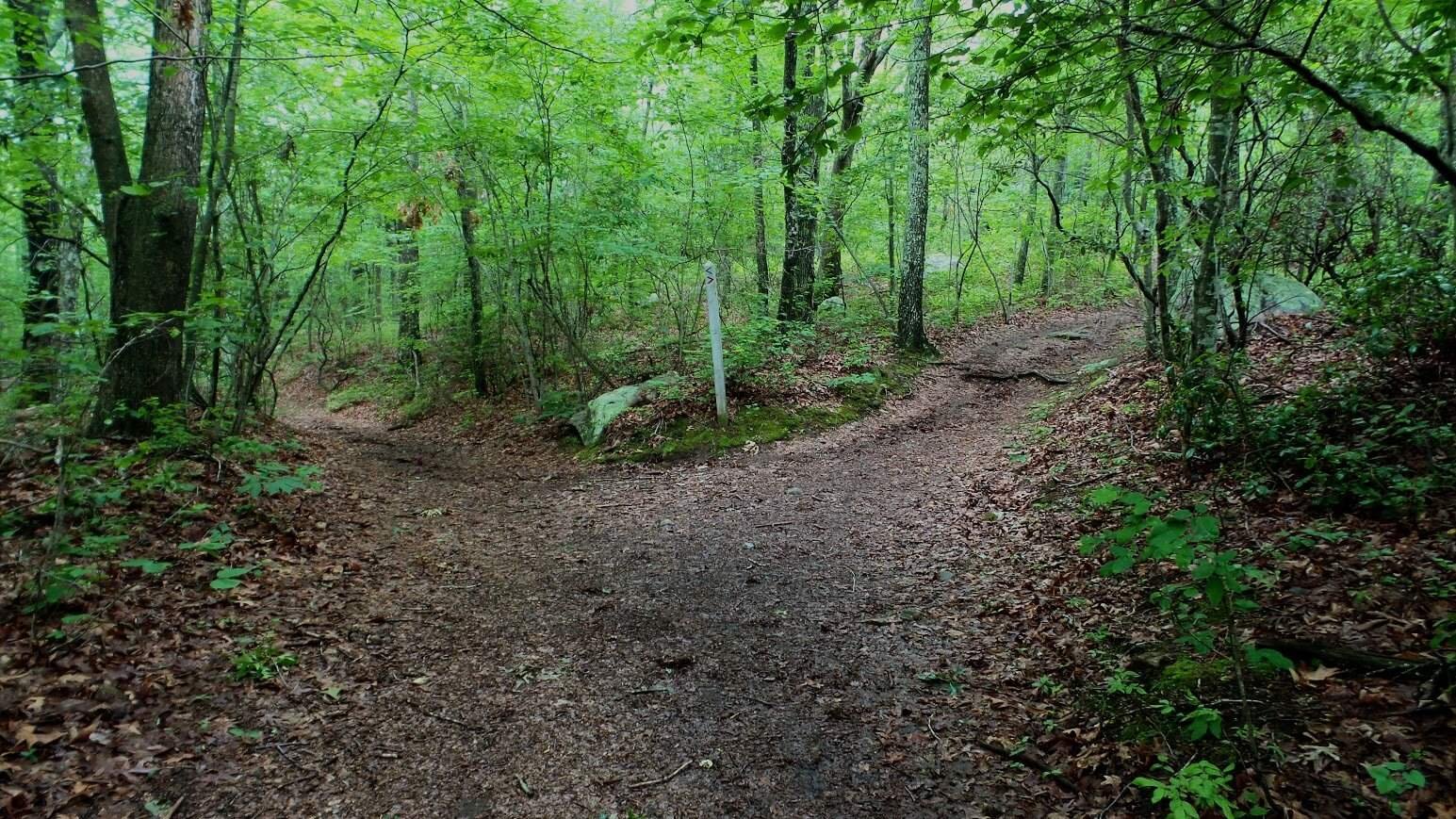 When Christians Disagree on Values