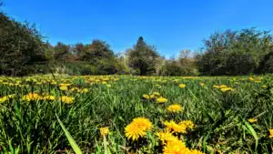 Doubt and Faith: Why Questions Aren't the Enemy