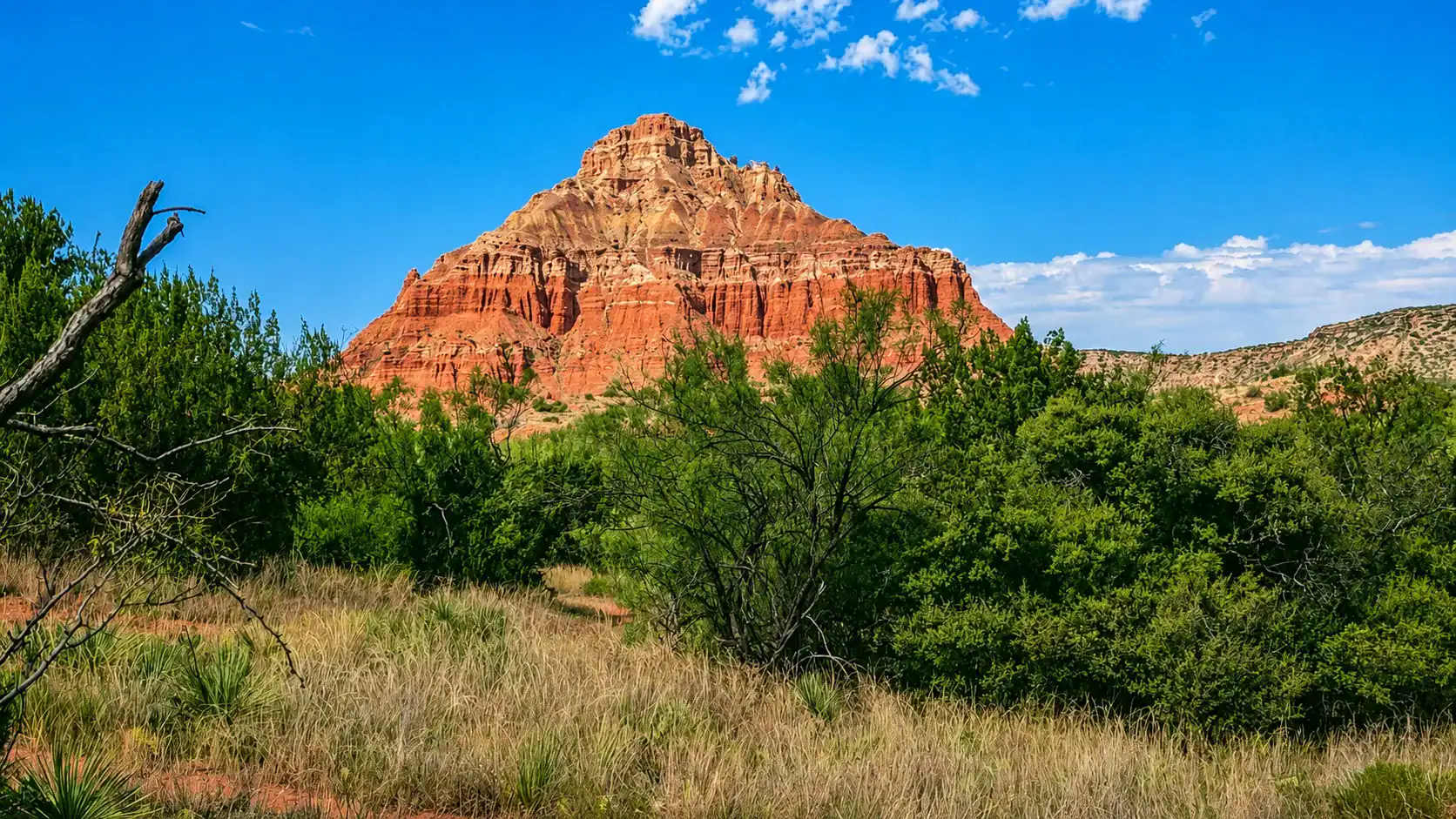 Tower of Babel Bible study — Genesis 10–11: Towers and Tongues