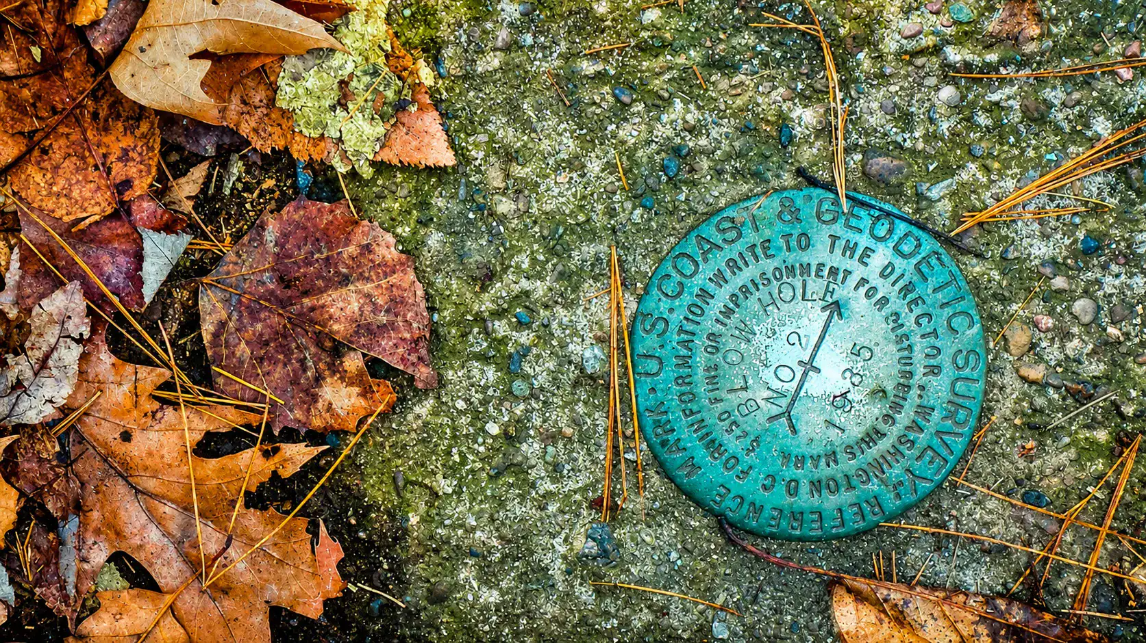 Biblical Discernment: A Compass for the Gray Areas